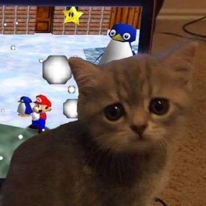 Meet your Posher, Vince